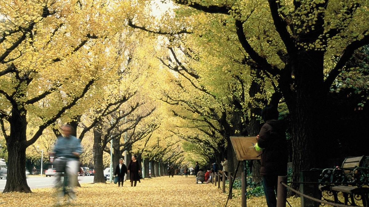 Tokio en otoño: esto nos espera si podemos visitarlo