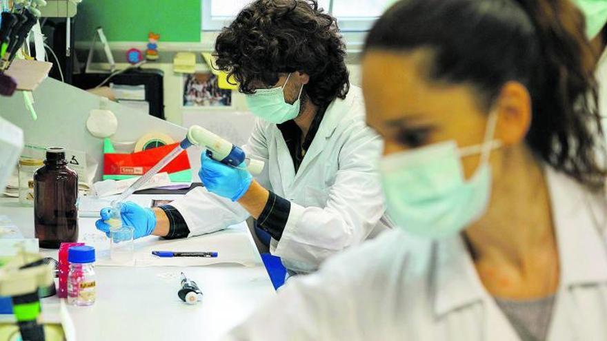 Dos investigadoras del Instituto de Biología y Genética Molecular de la Universidad de Valladolid. | | E.D.