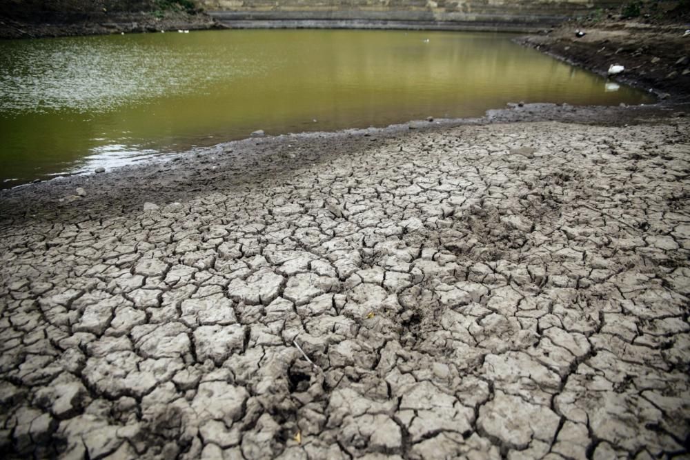 Embalses Valle Tabares y Tegueste