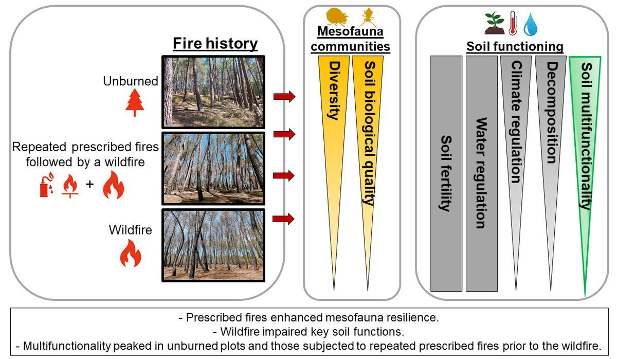 Resumen gráfico de los resultados publicados.