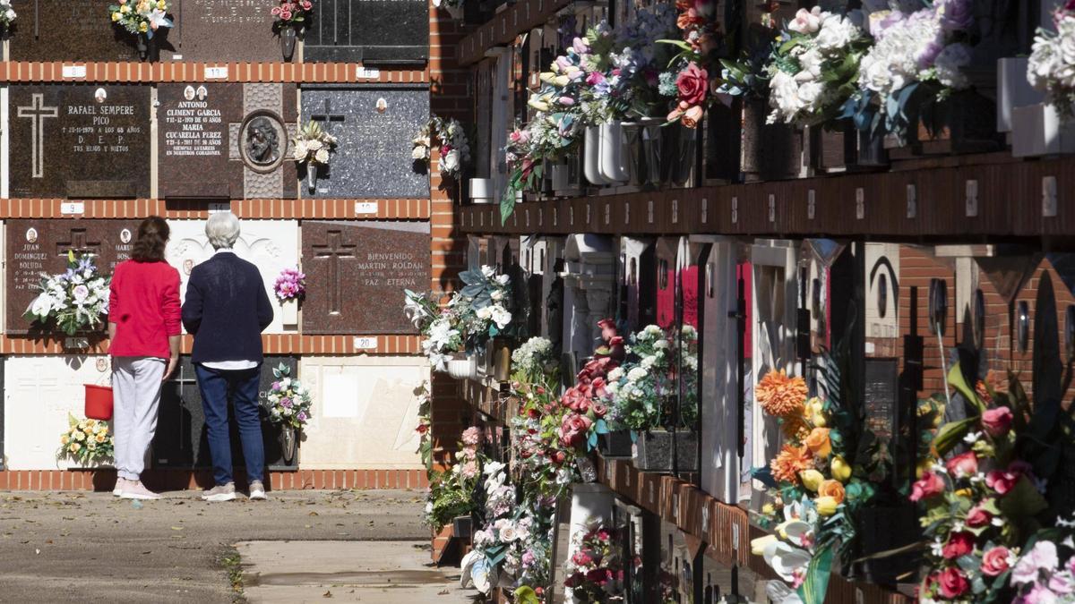 Dos mujeres revisan una lápida en el cementerio de Xàtiva, en una imagen captada durante esta semana.