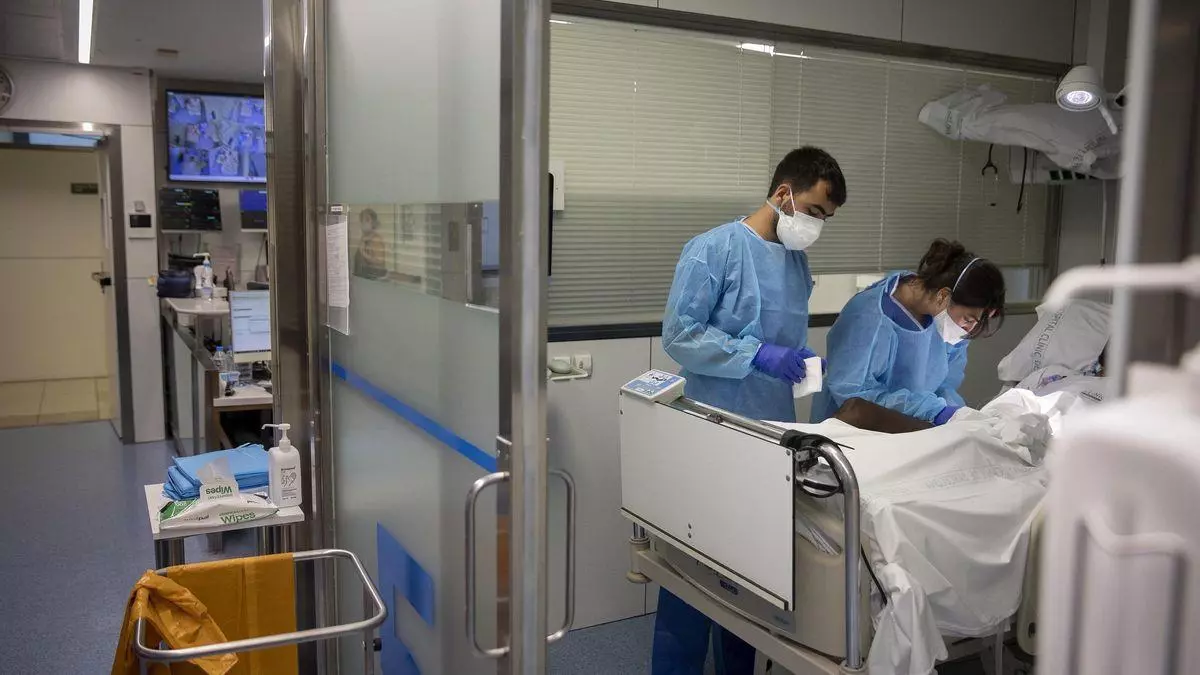 Vacantes MIR: 19 residentes plantan al SES y no se incorporan a sus plazas