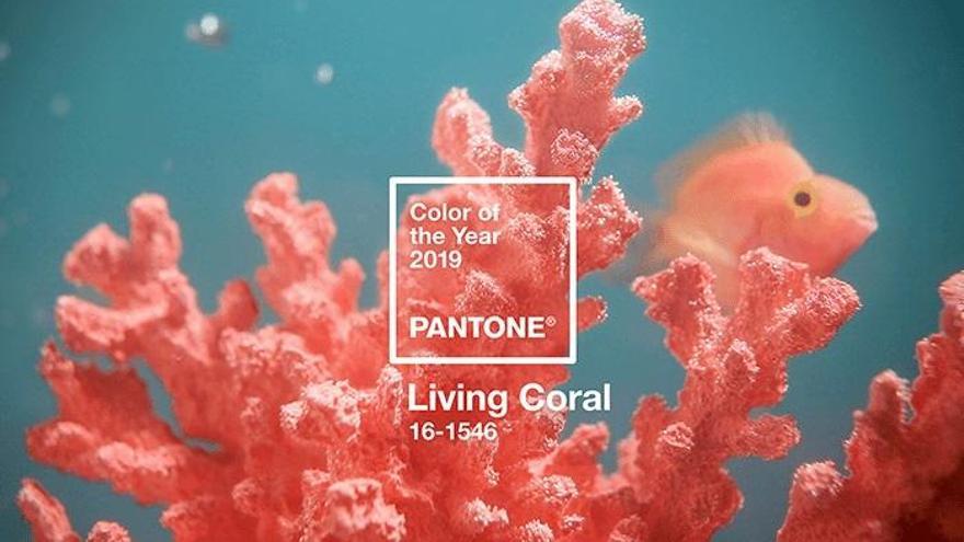 El color del 2019 serà el corall