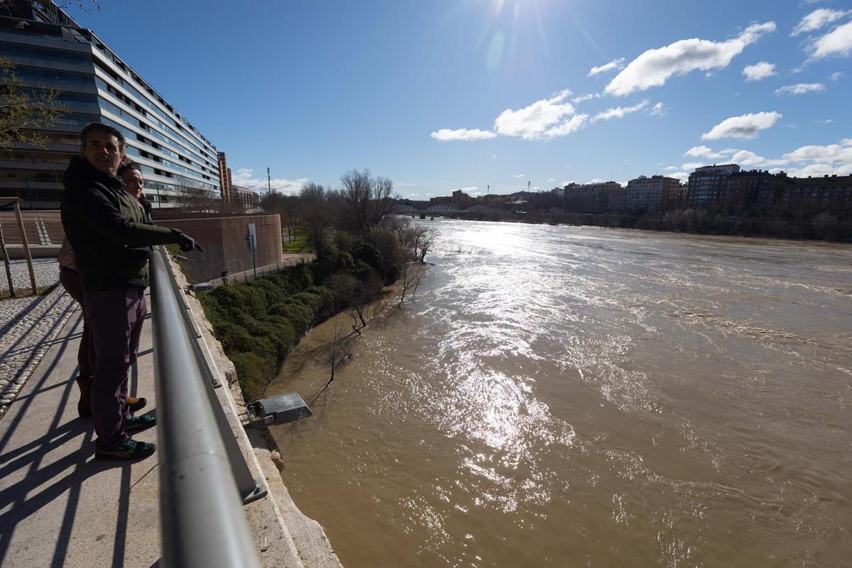 En imágenes I Árboles caídos en Zaragoza y parques cerrados por el viento