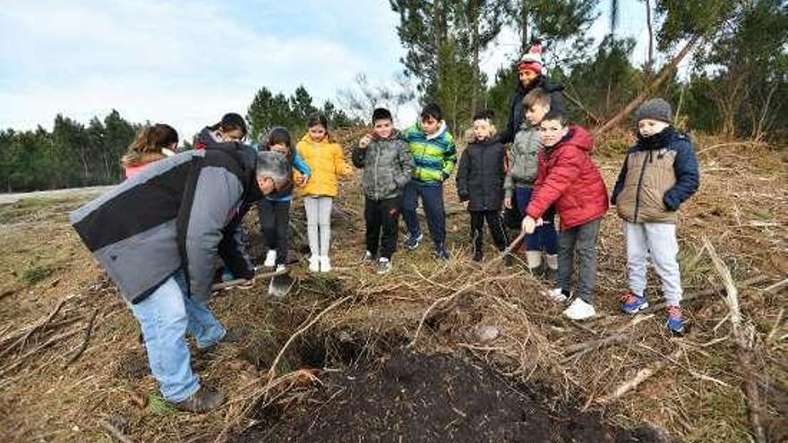 Escolares durante la plantación. // Gustavo Santos