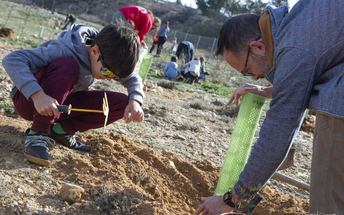 Un niño participa con su padre en las plantaciones del año pasado.  |