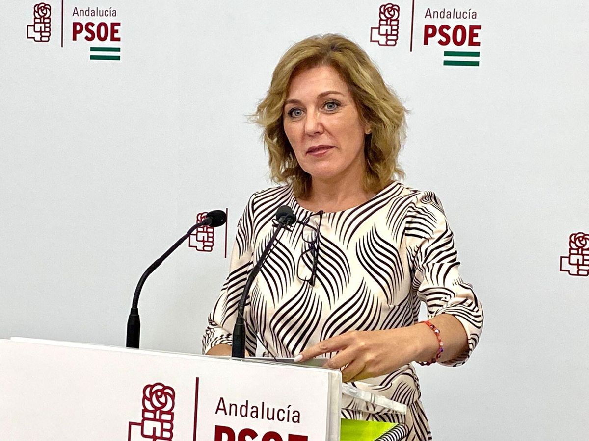 RP de la parlamentaria andaluza del PSOE Ana María Romero