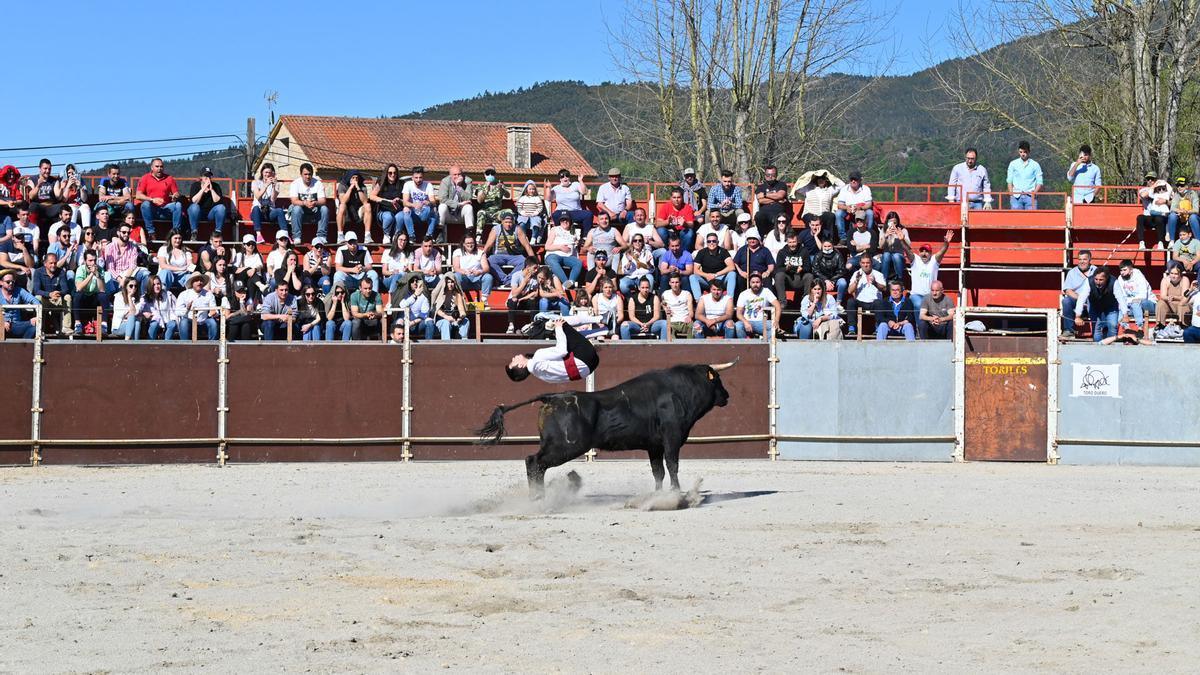 Espectáculo de recortadores en las Festas de Pascua de Padrón en 2022