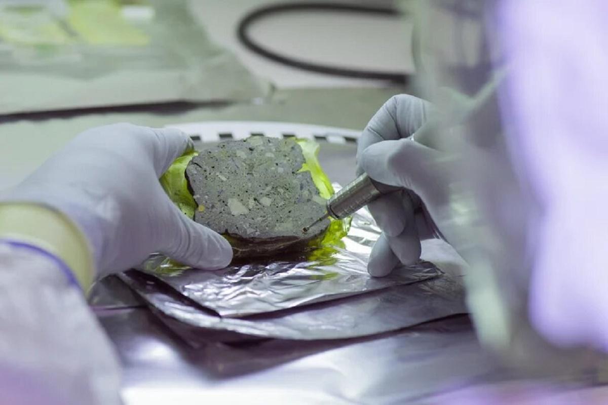 Muestra de un bloque intacto de sedimento impregnado para análisis de ADN antiguo.