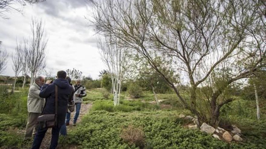 Almoradí aprueba hoy tutelar el «pulmón verde» del Segura