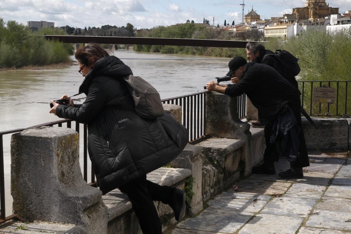 Córdoba, pendiente de la crecida del Guadalquivir