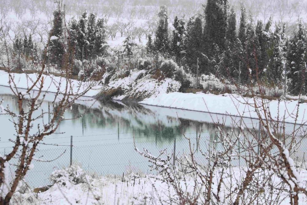 Nieve en Coy, Lorca