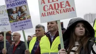 Medio Rural exige una moratoria de la legislación europea: "Los agricultores están asfixiados"