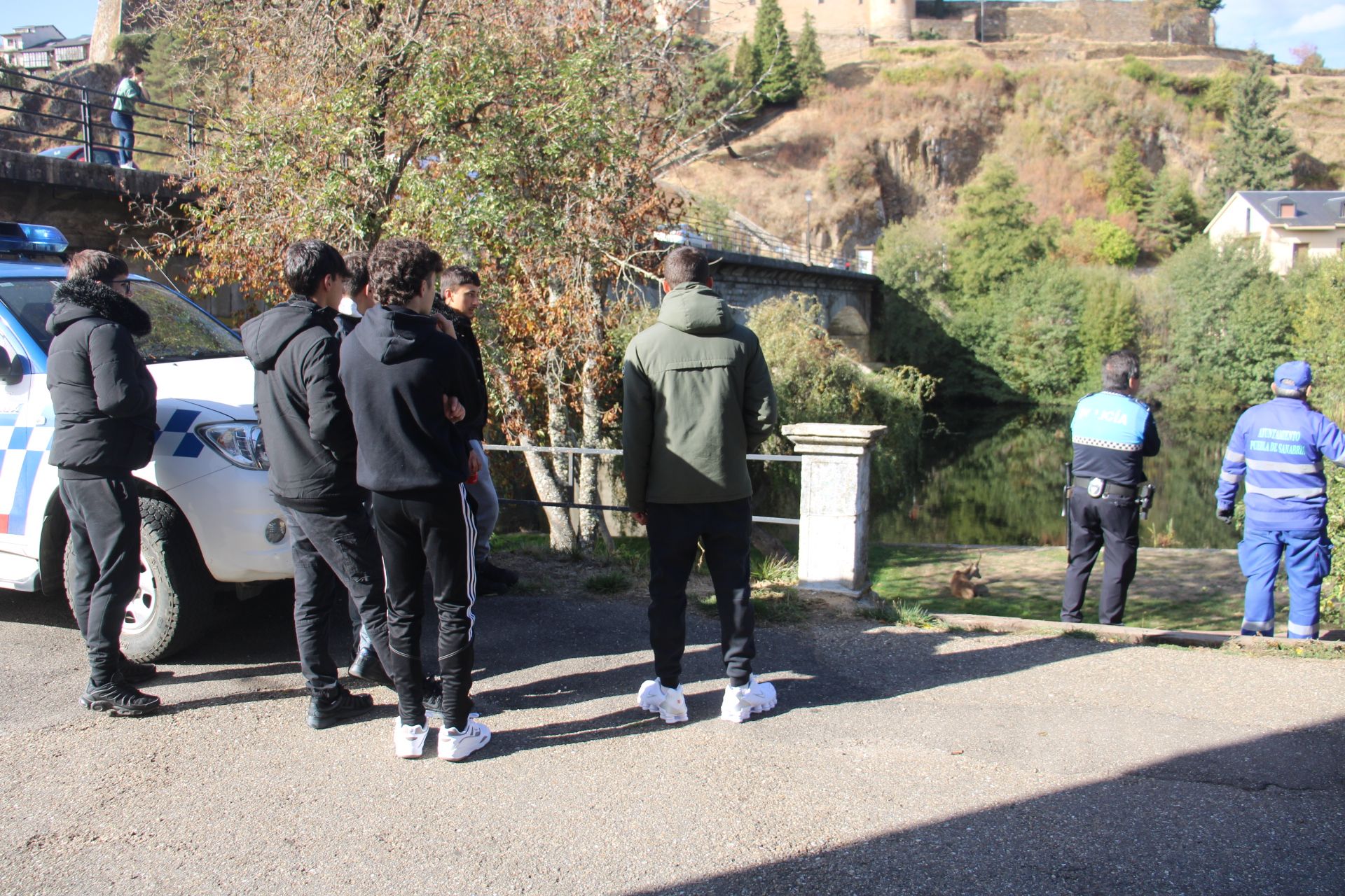 GALERÍA | Rescate de un ciervo enfermo en Puebla