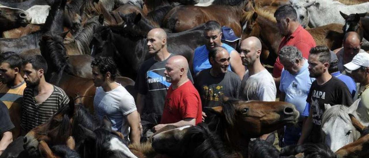 Aloitadores, entre los caballos durante el segundo curro de 2015. // Bernabé/Javier Lalín