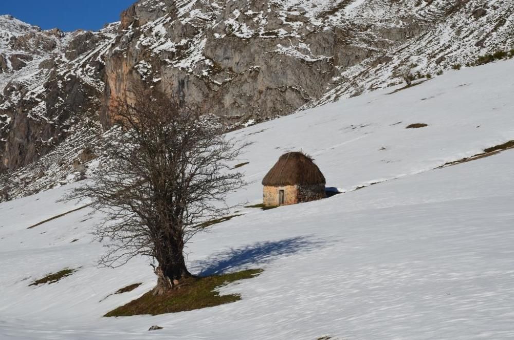 Nieve en Somiedo