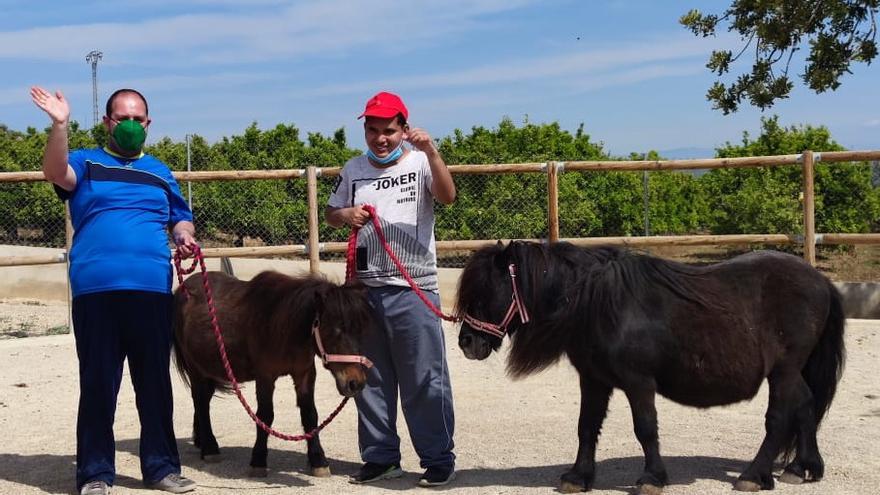 45 usuarios del Collet de Benicarló participan en un proyecto terapéutico con caballos.