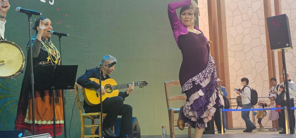La zamorana durante una de las actuaciones.