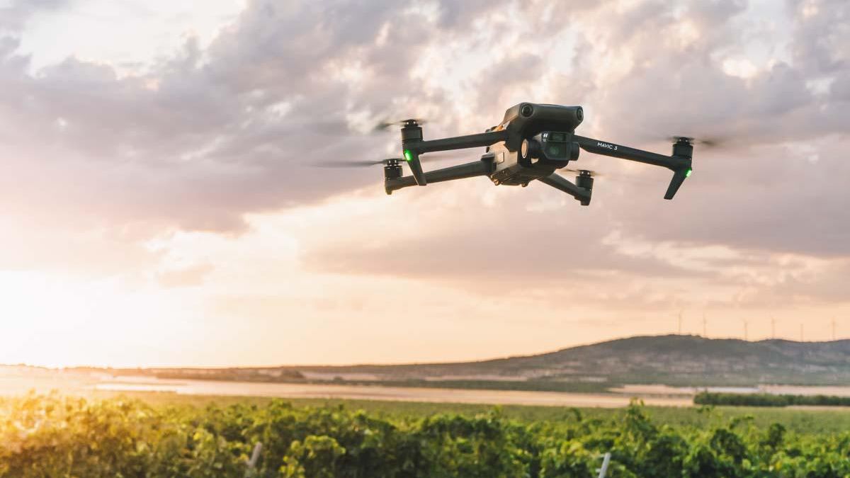 Un dron de la empresa Nobodrone sobrevolando un campo de viñas.