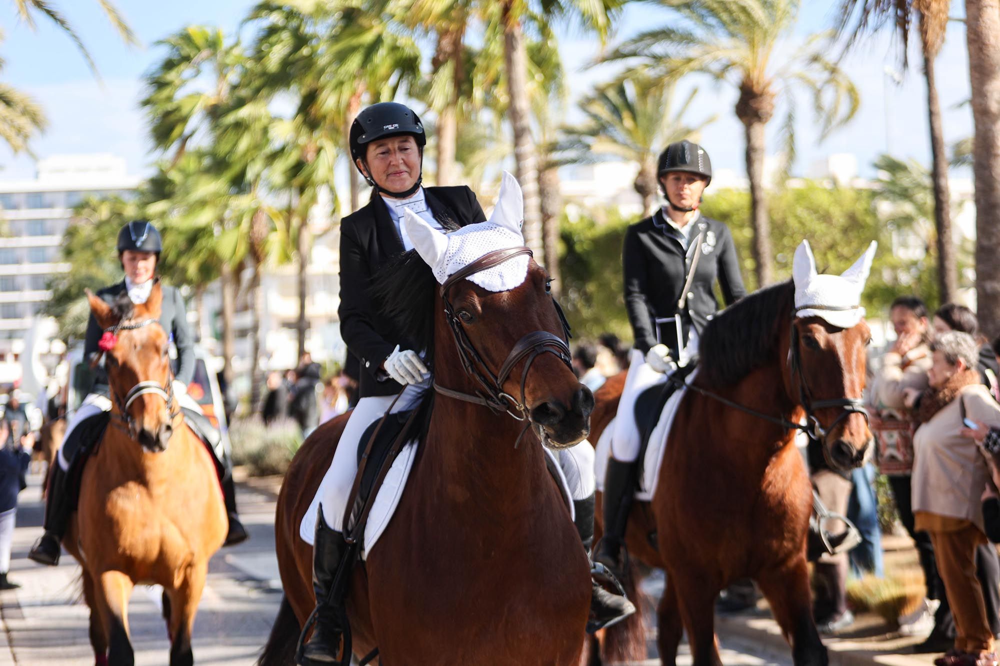 Todas las imágenes de la bendición de animales y el día grande de las fiestas de Sant Antoni