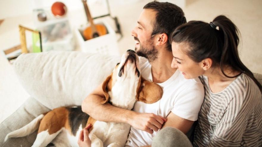 PERRO | El amor es una de las 10 lecciones que podemos aprender de nuestros perros