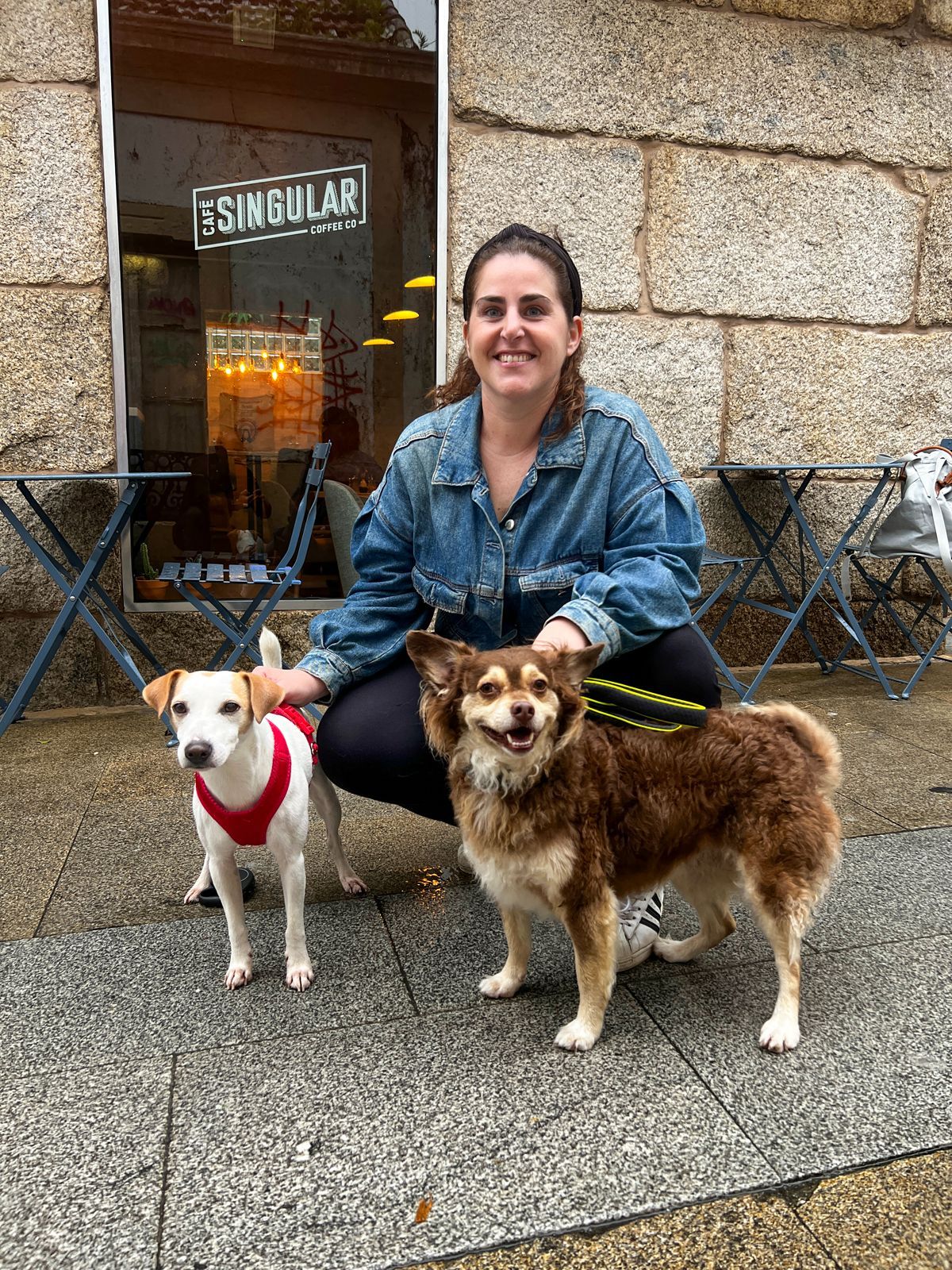 Así disfruta  de las Rías Baixas el perro "influencer" Pipper