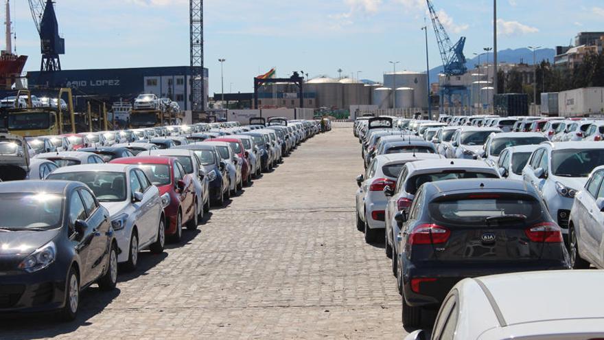 Vehículos estacionados en una campa del muelle 4.