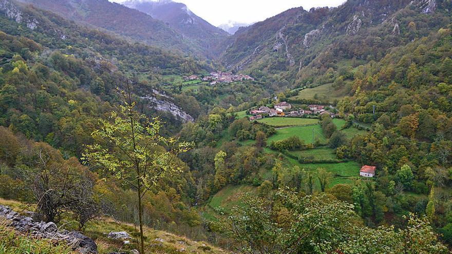 Ponga, propuesto a la Unesco para  ser declarado reserva de la biosfera