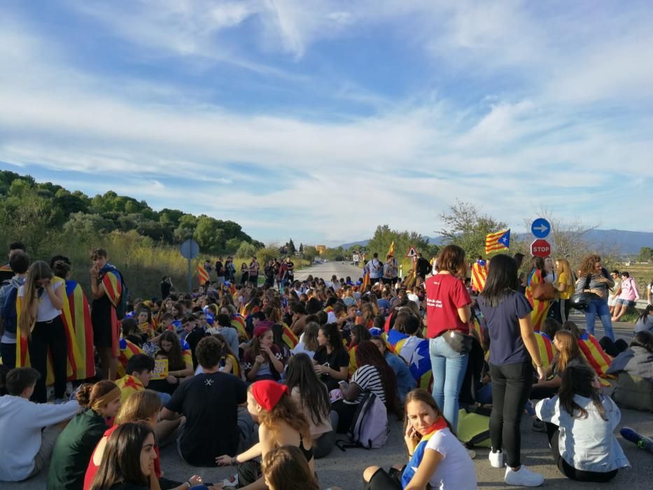 Centenars d'estudiants es manifesten a Figueres