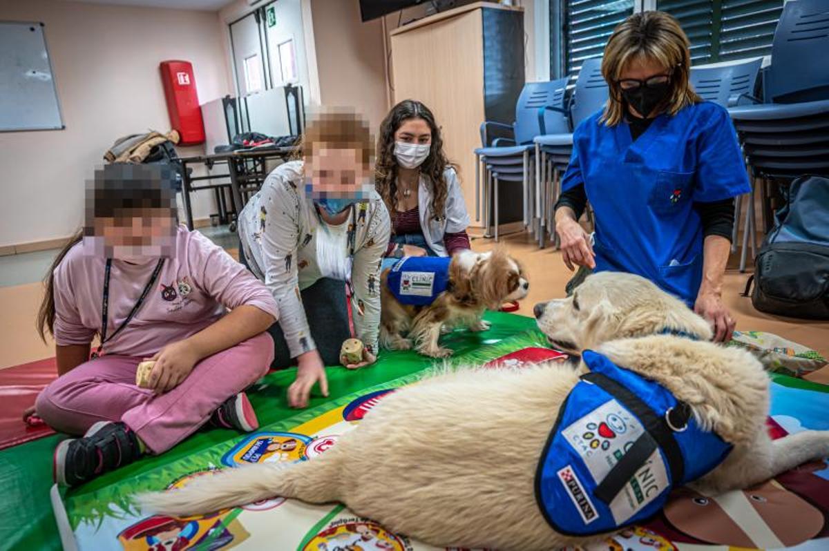 Terapia con perros, en el hospital de día de niños, en el Clínic