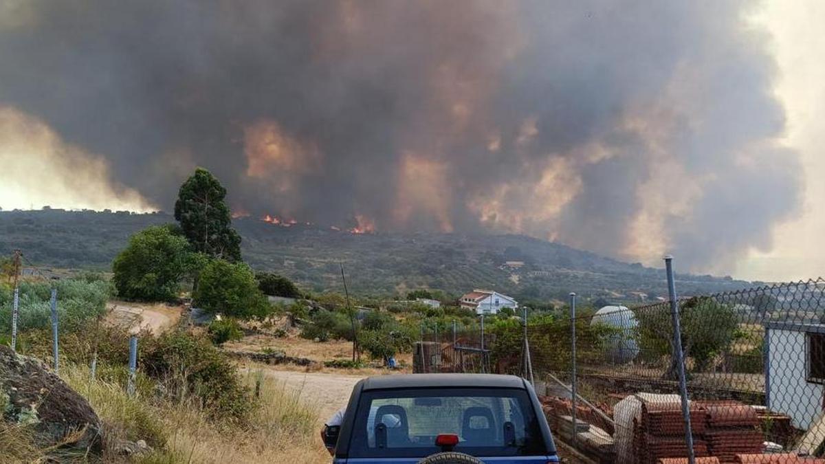 INCENDIO FORESTAL | José Manuel Pilo, alcalde de Fermoselle (Zamora): «Estamos reviviendo el incendio terrible de 2017»