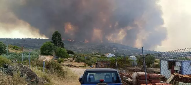 Imágenes del incendio forestal de Zamora