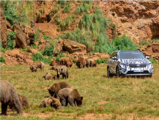 Visita salvaje a Cabárceno.