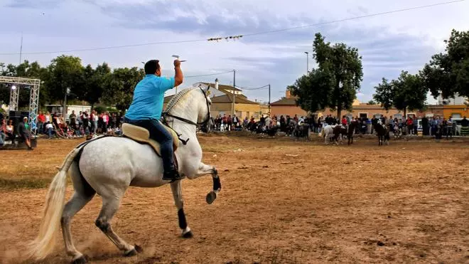 Exposición 'Tiempo de Fiesta II' en Murcia