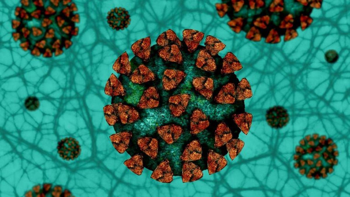 La OMS acaba de comenzar a monitorizar una nueva variante del coronavirus llamada «Mu»