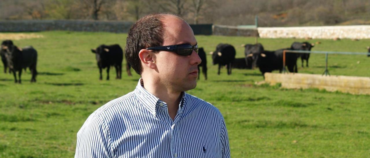 Daniel Bartolomé, veterinario taurino, en el campo con los toros de lidia