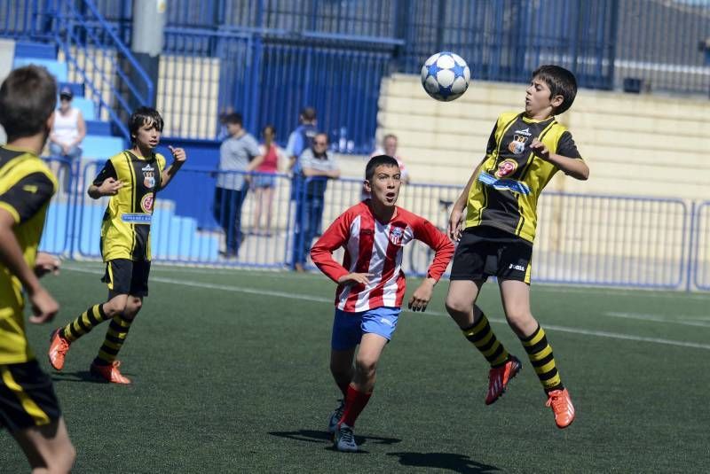 FÚTBOL: Tauste A - Teruel A (Alevín)