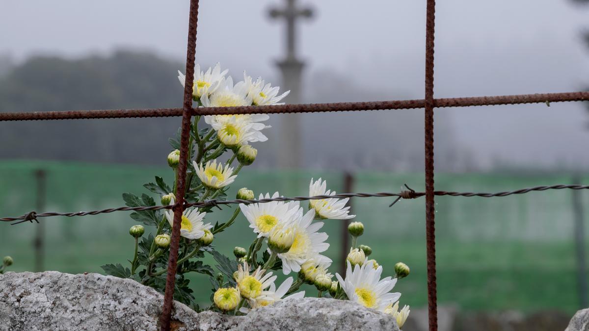 Flores en un cementerio.