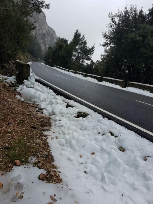 Nieve en la Serra