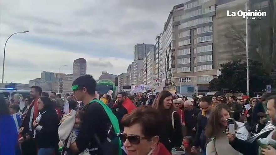 Manifestación de familias de alumnos de colegios públicos de A Coruña
