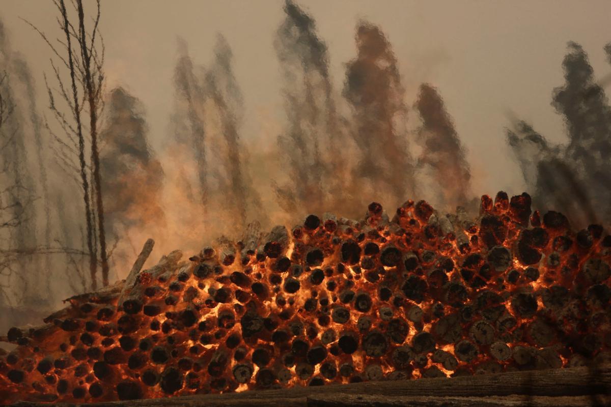 Los incendios que arrasan Chile dejan ya más de 20 muertos