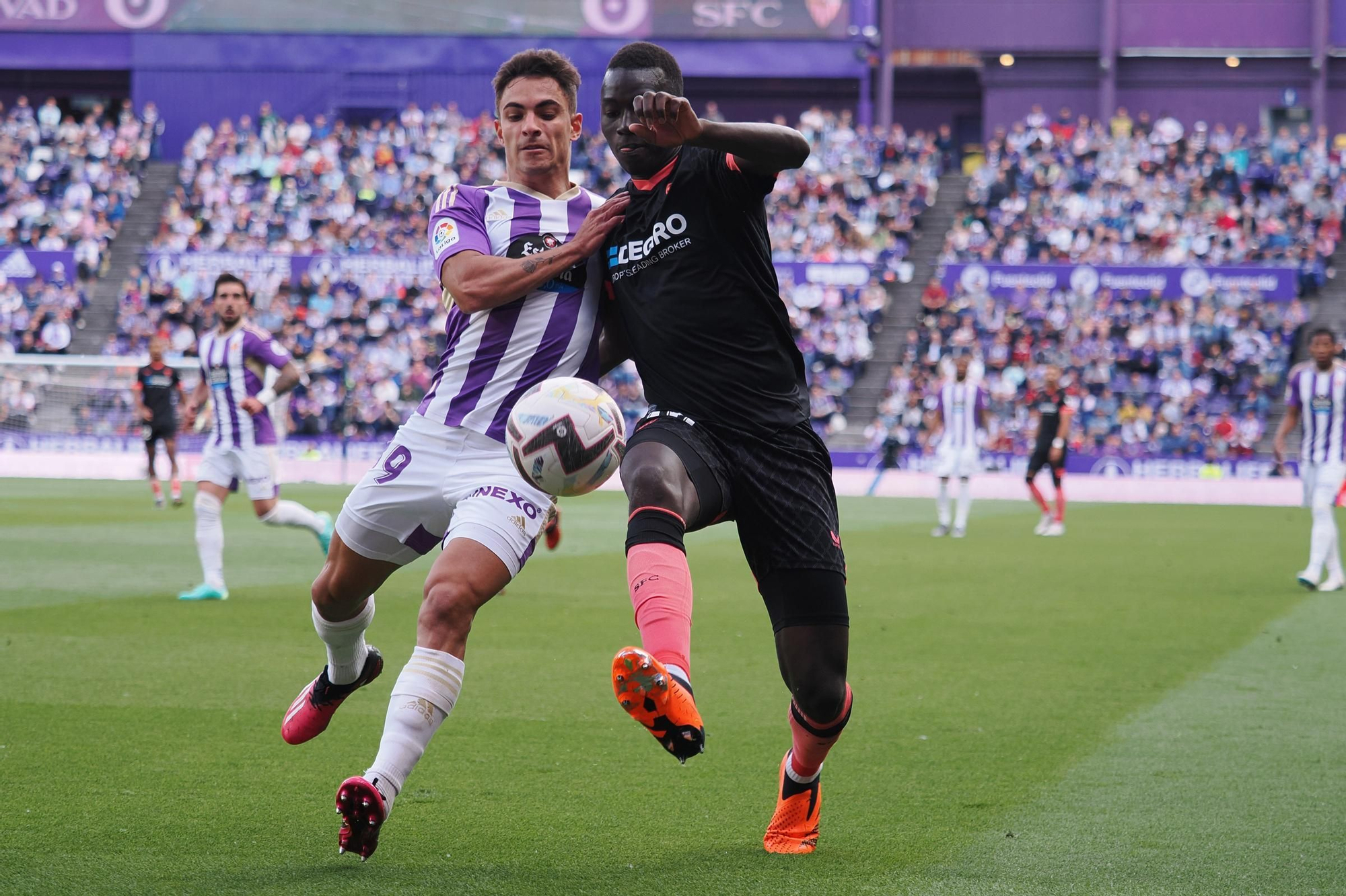 REAL VALLADOLID / SEVILLA
