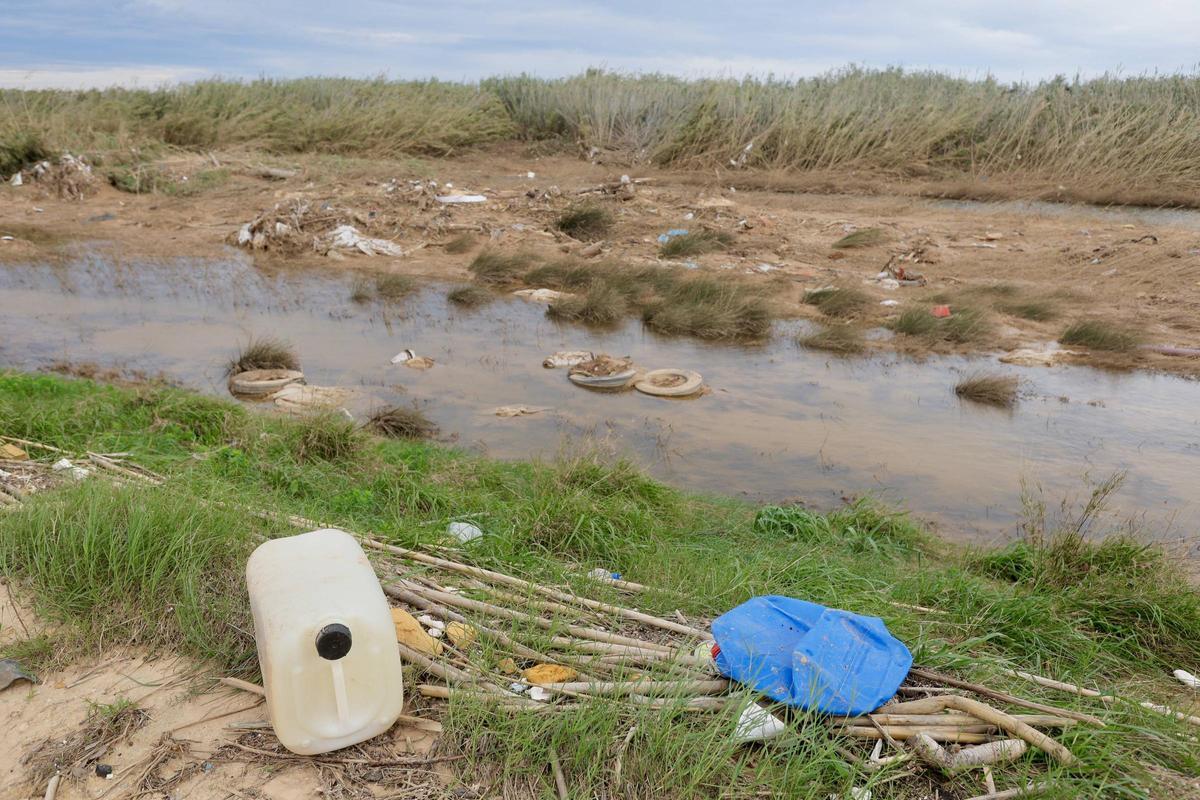 El parque Natural de la Albufera a la altura de el puerto de Catarroja, lleno de basura tras el paso de la Dana