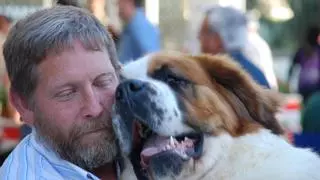 Archidona batirá récord en su Feria del Perro con la participación de un millar de canes