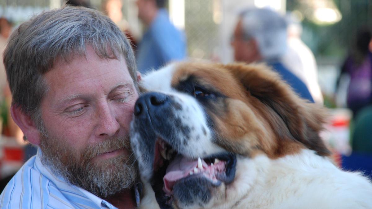 Este primer fin de semana de mayo, Archidona se llena de ladridos y amor con la Feria del Perro