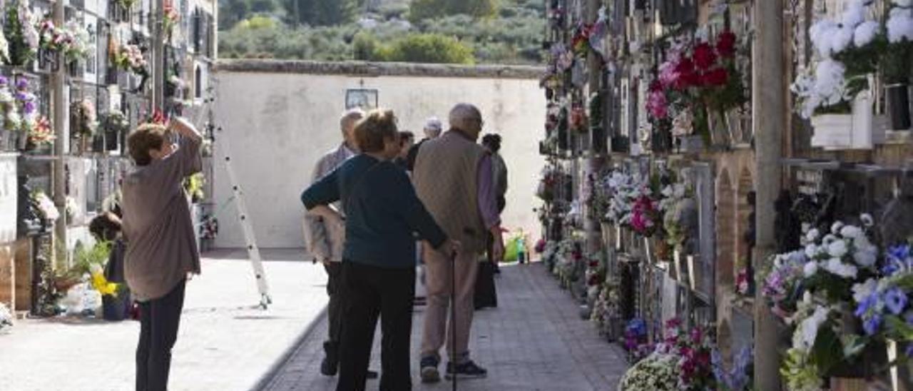 Aspecto que ofrecía el preparativo del día de Todos los Santos en el cementerio de Bocairent, ayer.