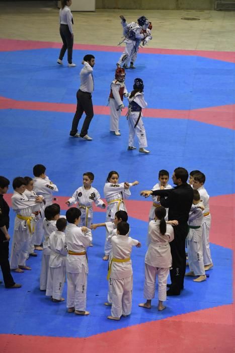 Copa Cidade da Coruña de taekwondo en el Coliseum