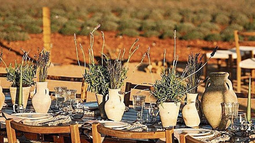 Edel-Dinner zeigt auf Mallorca, was Lavendel gastronomisch hergibt
