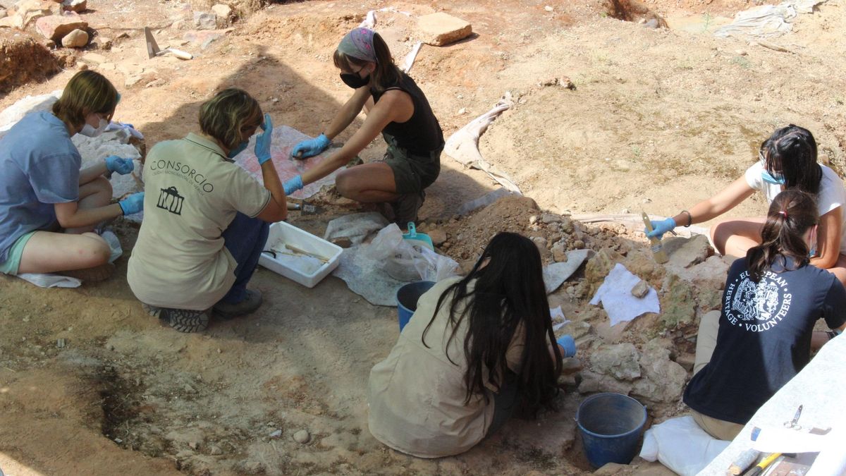 Un grupo de jóvenes trabajando en el yacimiento de la Casa del Mitreo.