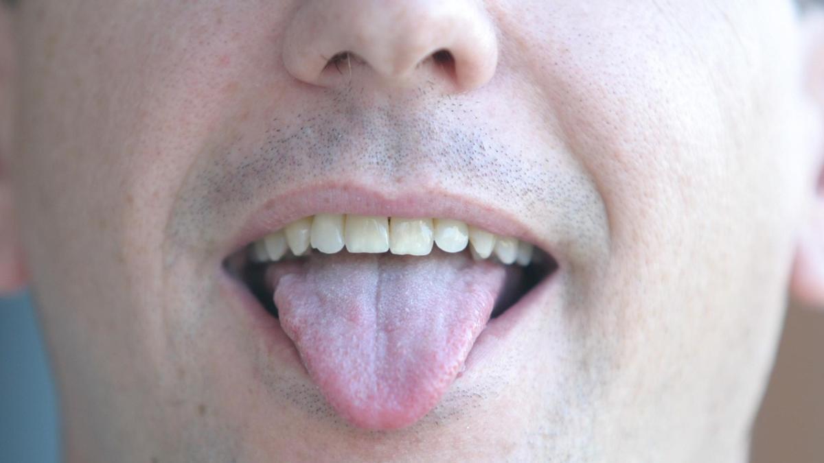 Lengua